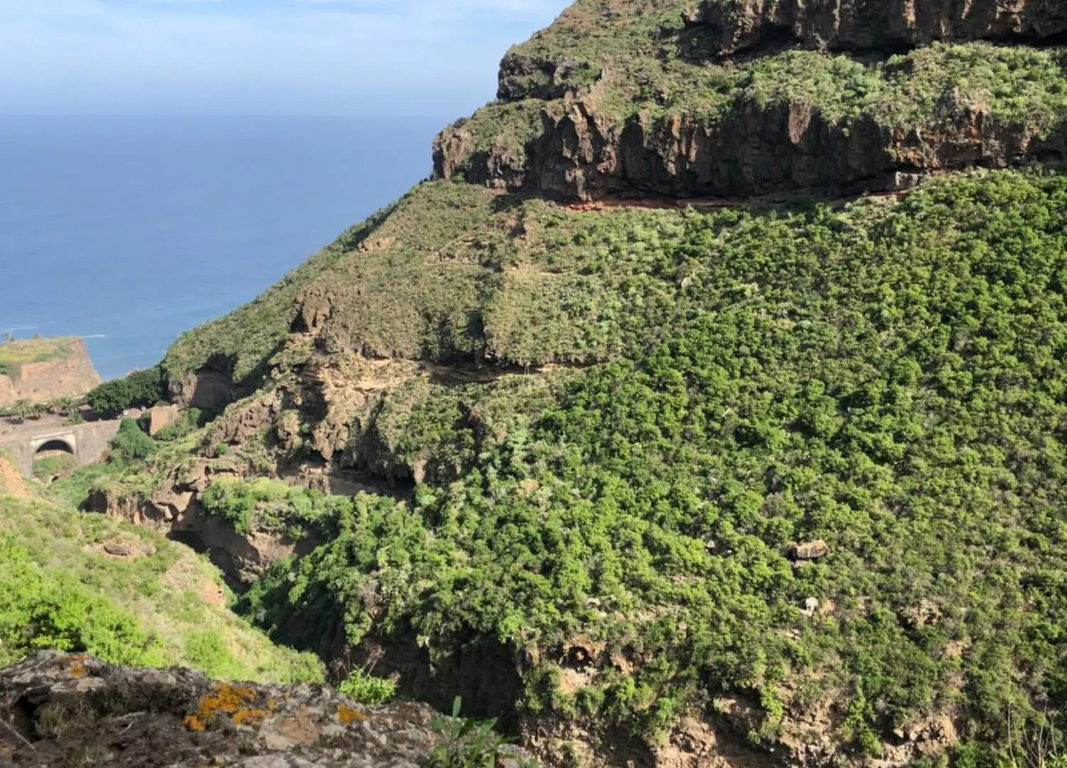 Casa Mochi Vila La Laguna  La Laguna (Tenerife)